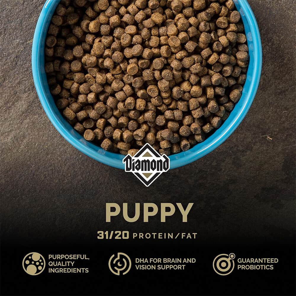 31/20 Dry Puppy Food | Atwoods