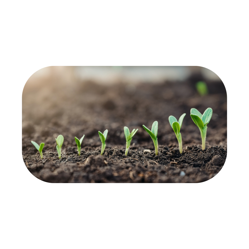 spring landscape 2 artwork.png