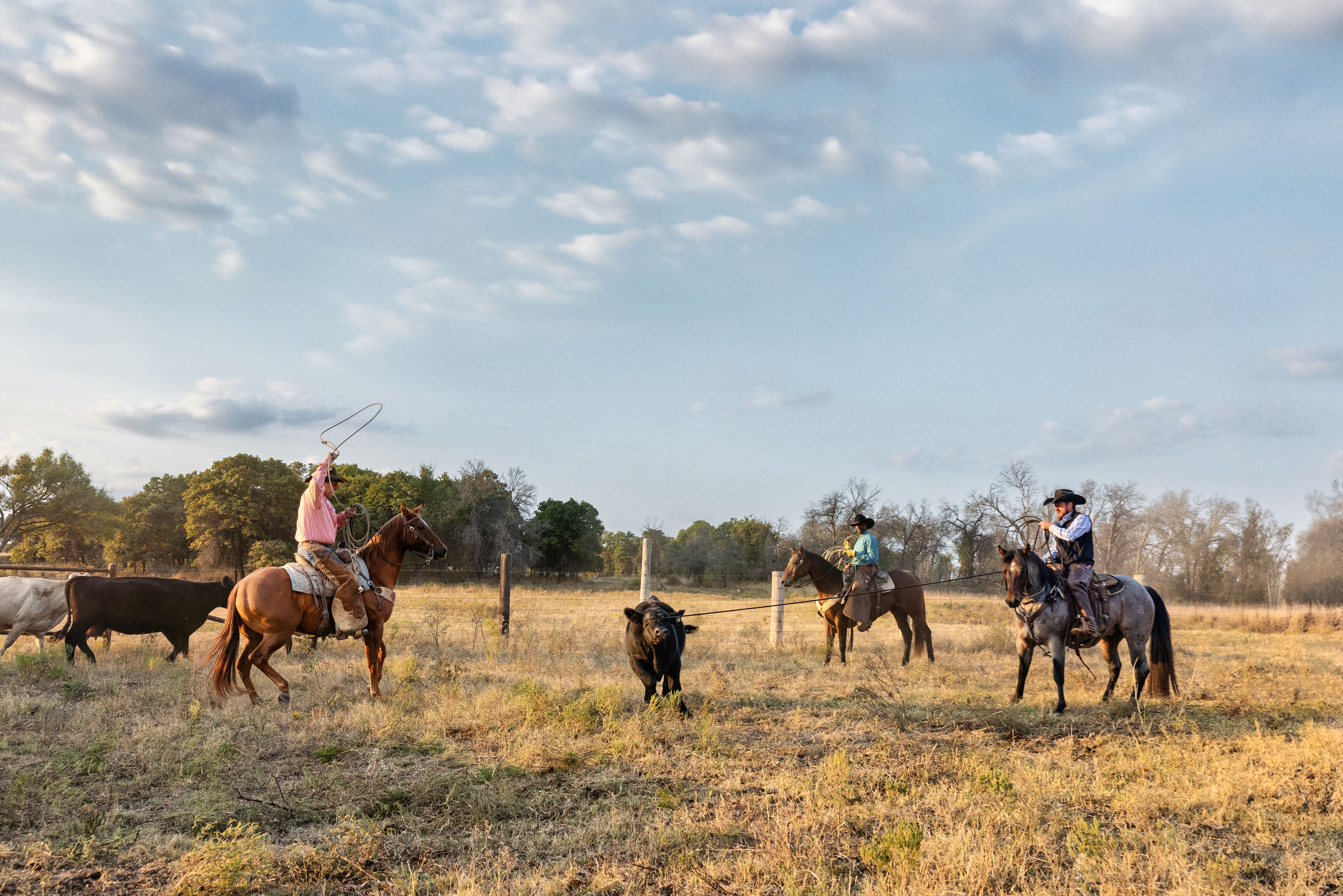 Equipment and supplies on sale