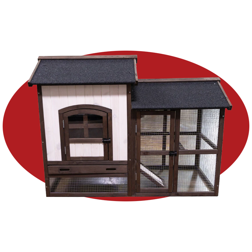 greenpastures chicken coop artwork.png