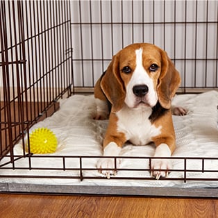 Crates & Gates