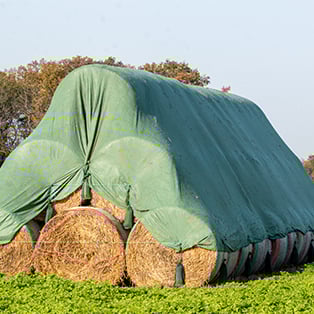 Tarps, Straps, & Tiedowns