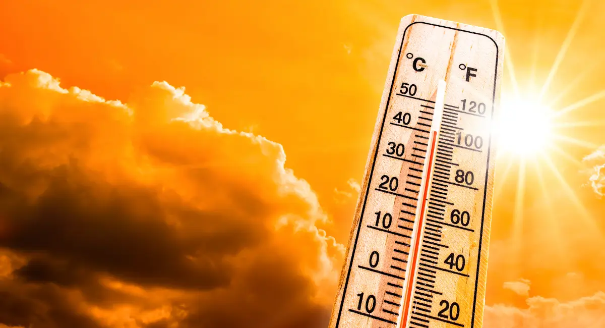 beat the heat v3 art.webp