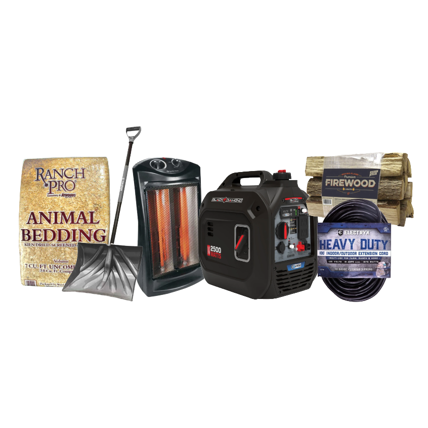 winter weather artwork 3.png