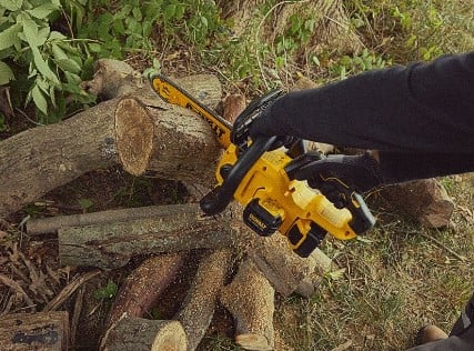 Cut