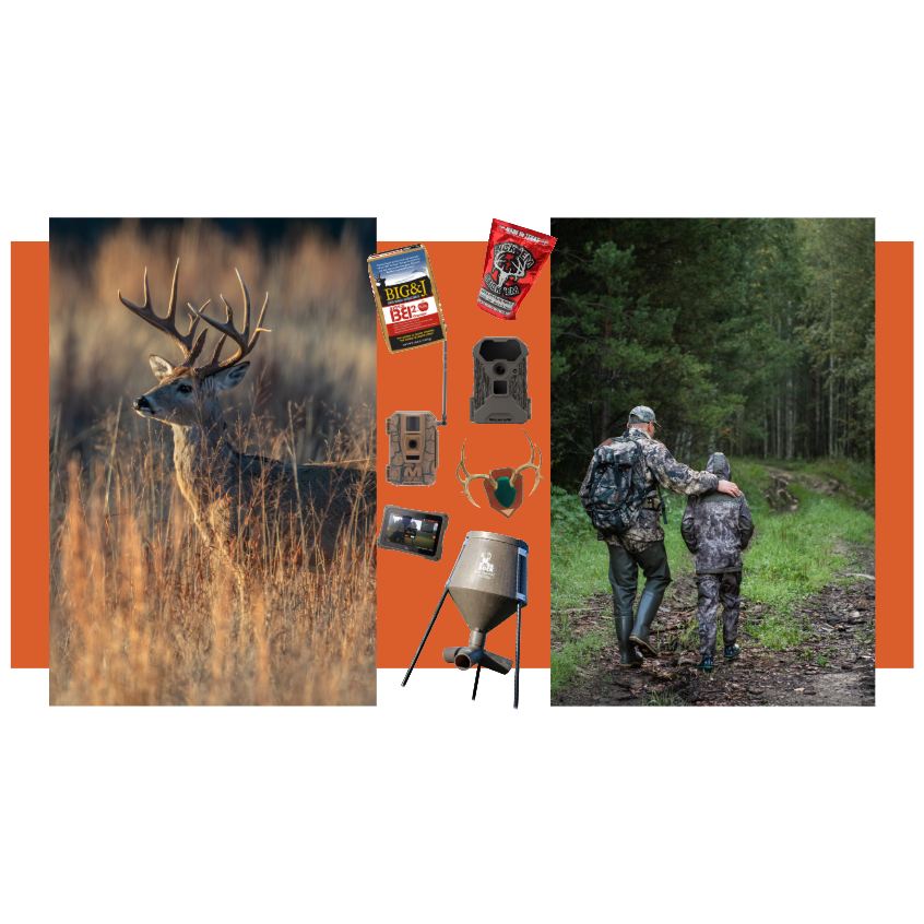 40off Hunting 4 artwork.png