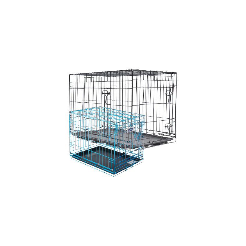 petcrate artwork 3.png