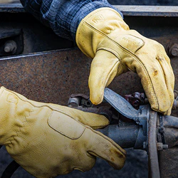 Gloves