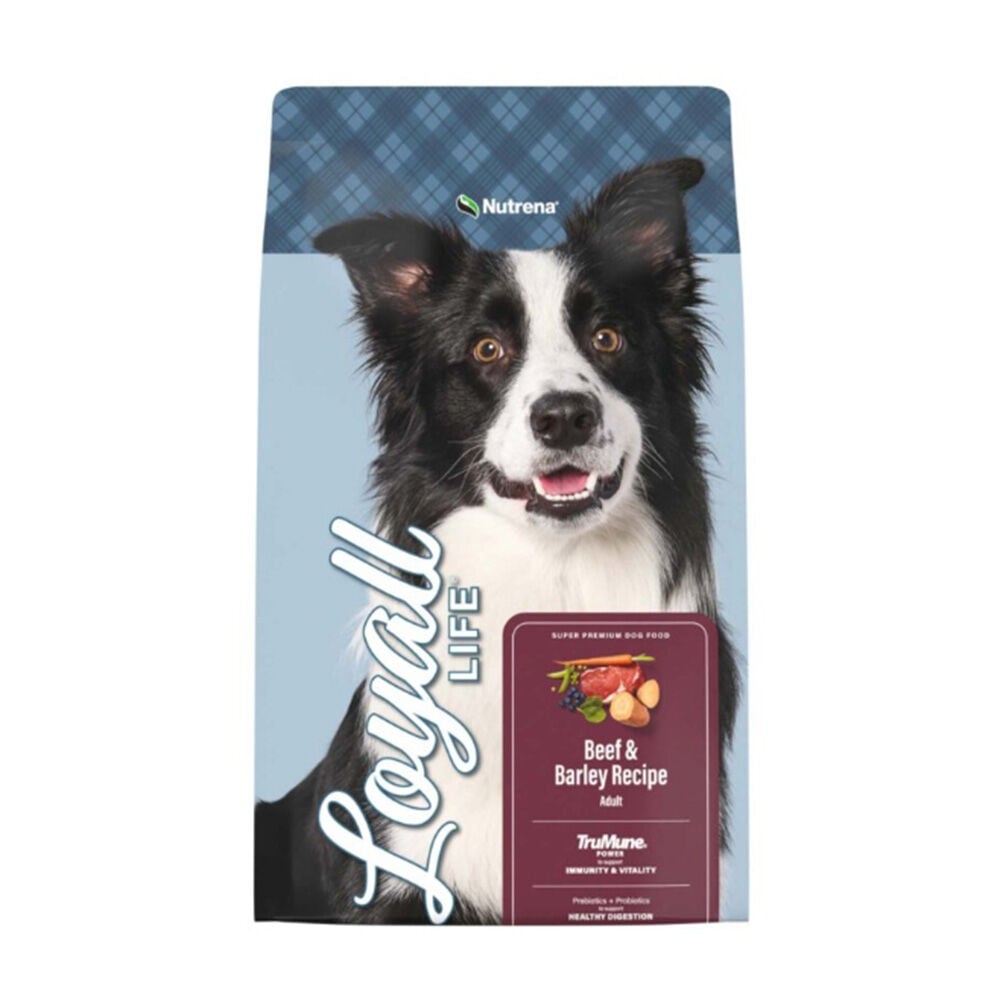 image of Loyall Life Adult, Beef and Barley Recipe Dog Food