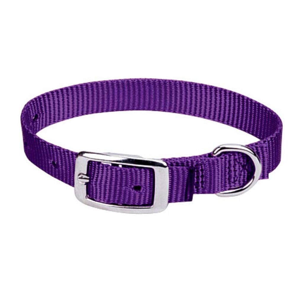 image of Single-Ply Collar, 5/8-inch x 9-inch, Purple