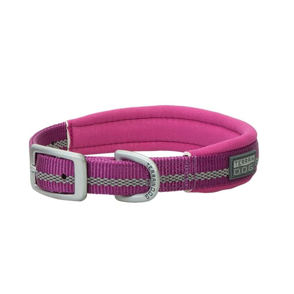 Weaver Leather Terrain D.O.G. Reflective Neoprene Lined Dog Collar 3 4 inch x 15 inch Purple Atwoods