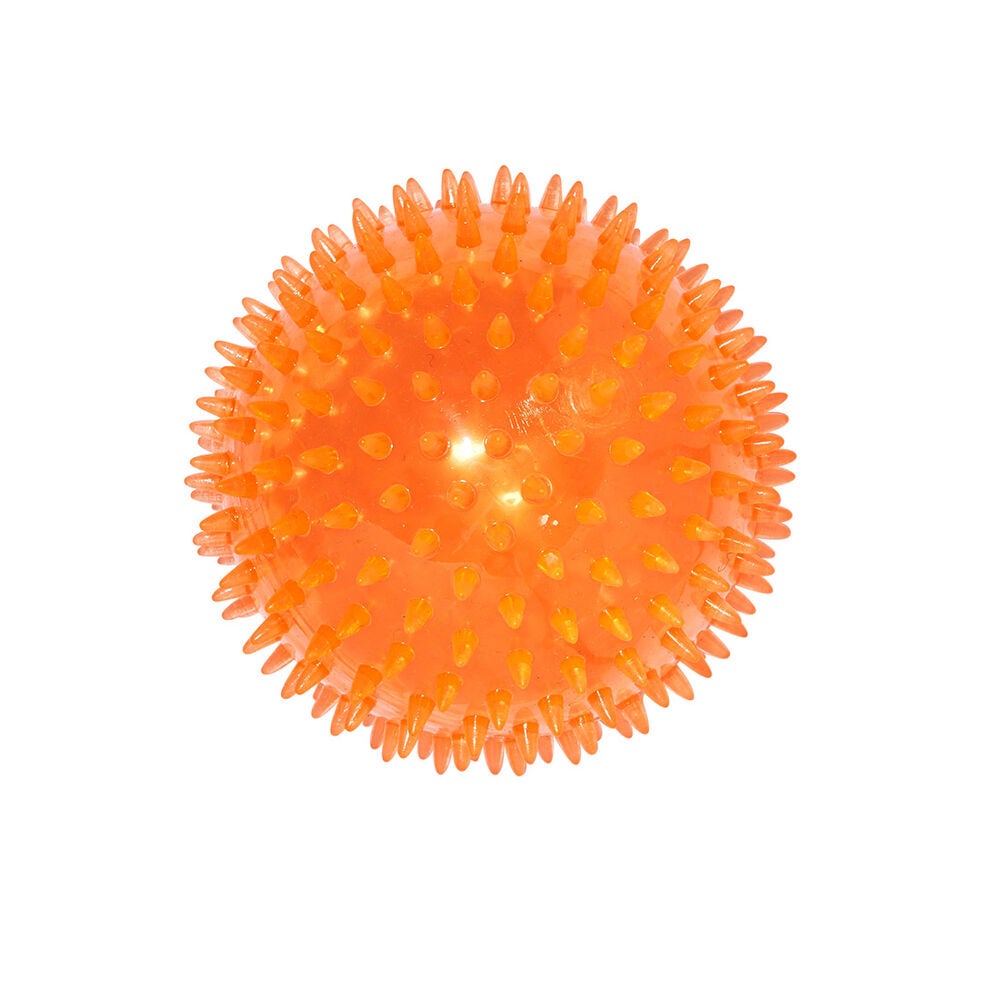 image of Spiky Bouncy Ball Dog Toy, 5 in