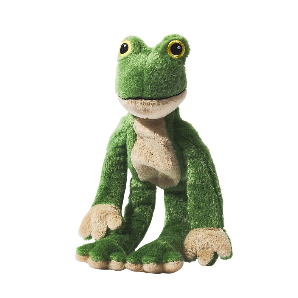 image of Frog & Rope Plush Squeaky Dog Toy