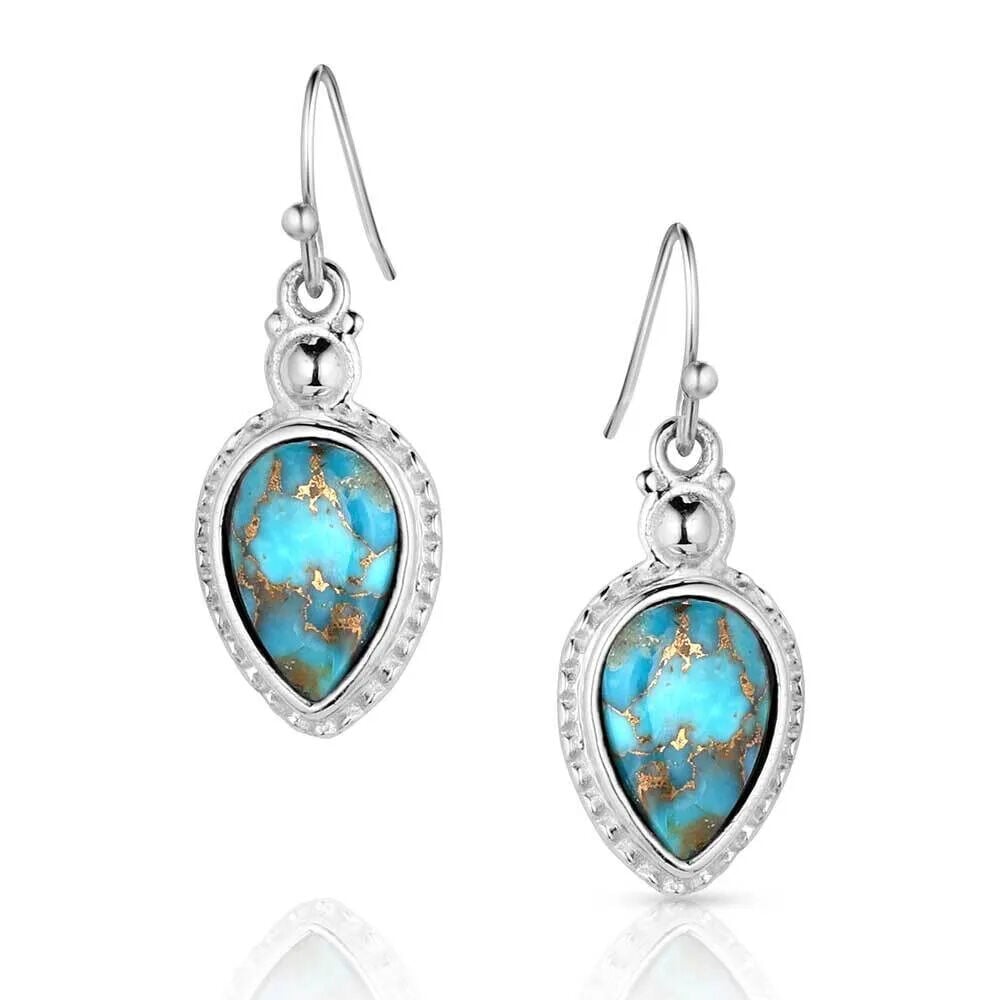 image of Expression of the West Turquoise Earrings