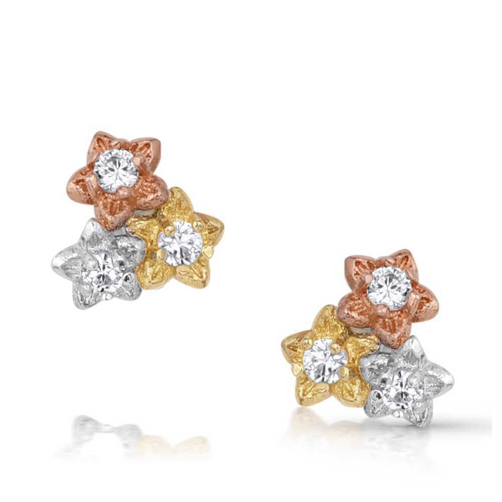 image of Wildflower Meadow Earrings