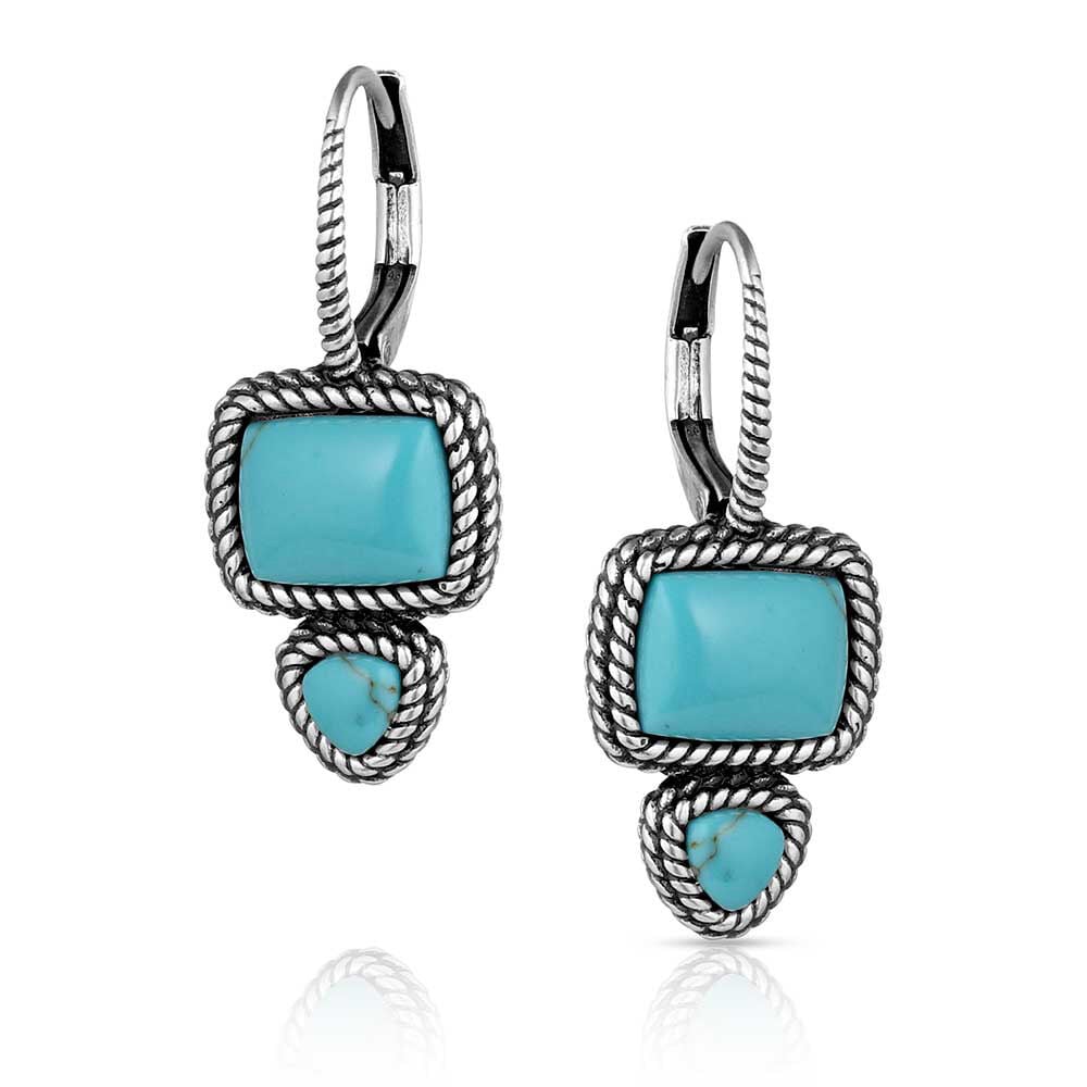 image of Split Decision Turquoise Earrings