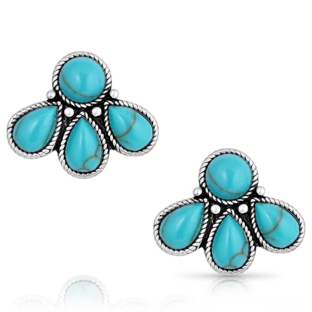 image of Nature's Wonder Turquoise Earrings