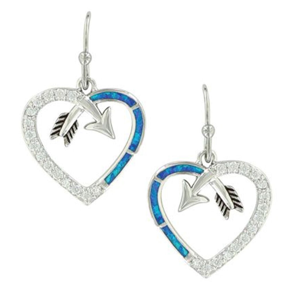 image of Women's Earrings- Follow Your Heart