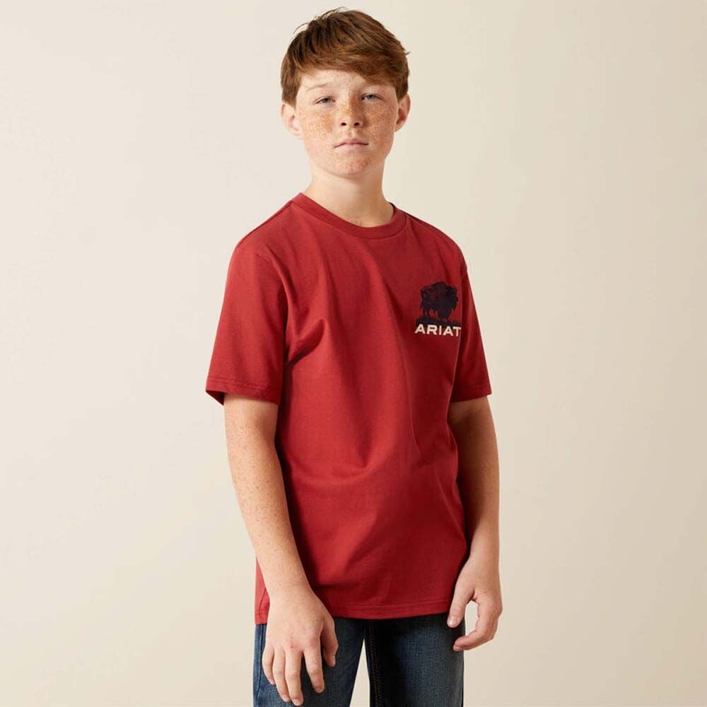 image of Boys' Graphic Short Sleeve Shirt, Brick Red