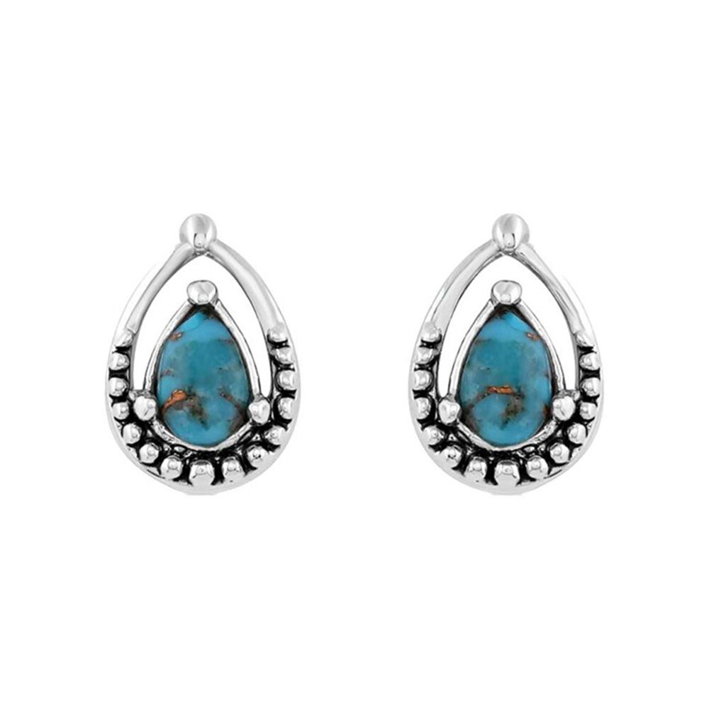 image of Women's Touch of Turquoise Earrings