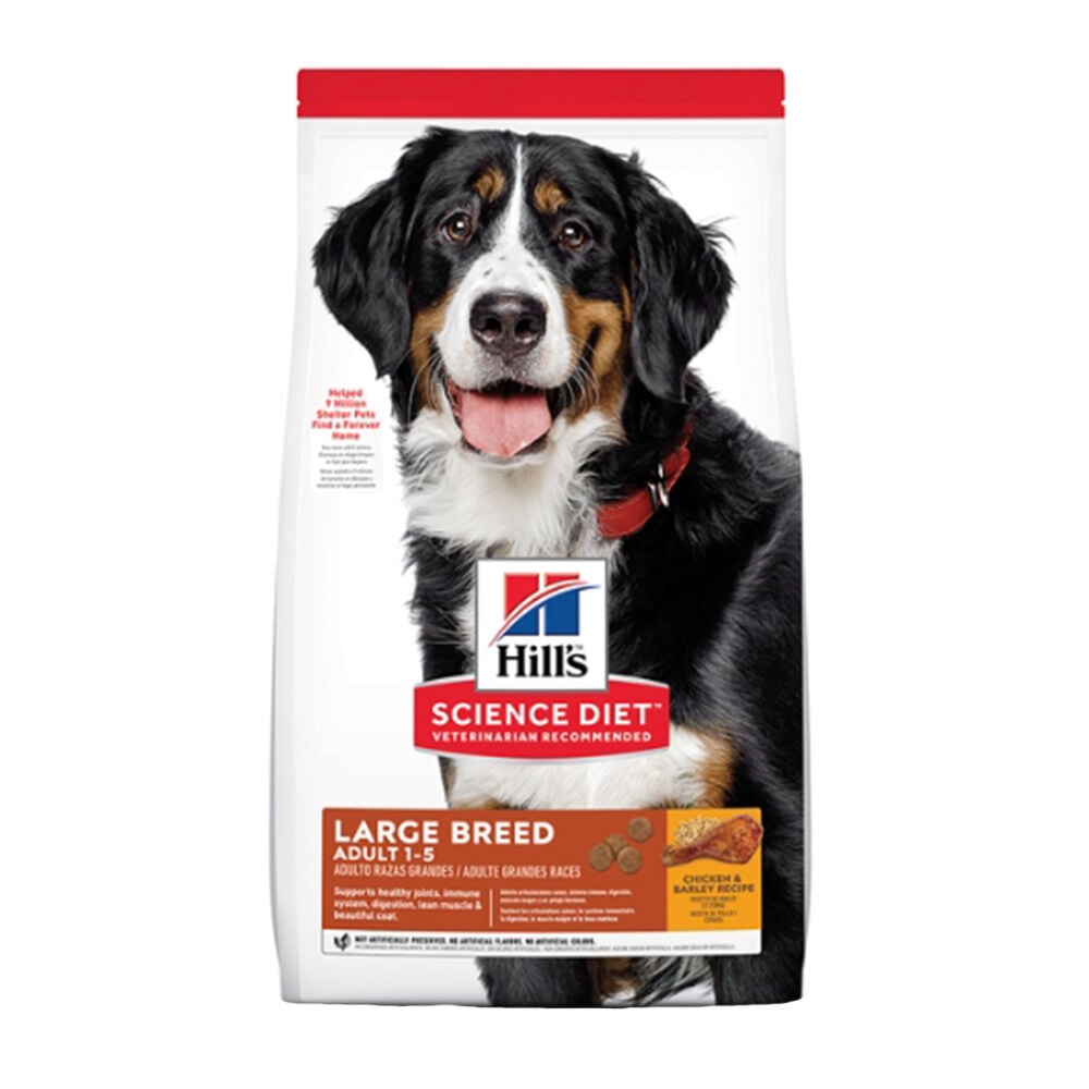 image of Dry Adult Dog Food- Large Breed, Chicken and Barley, 38.5 lb