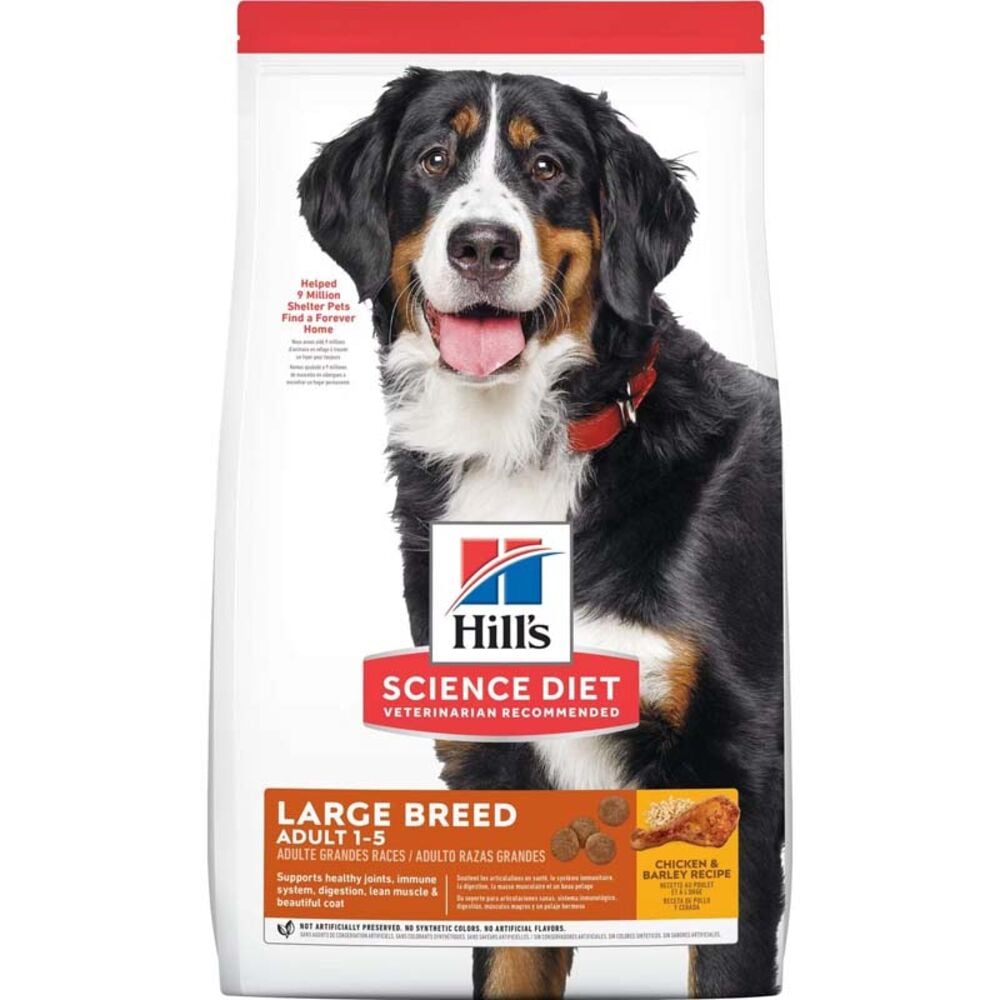 image of Dry Adult Dog Food- Large Breed, Chicken and Barley, 45 lb