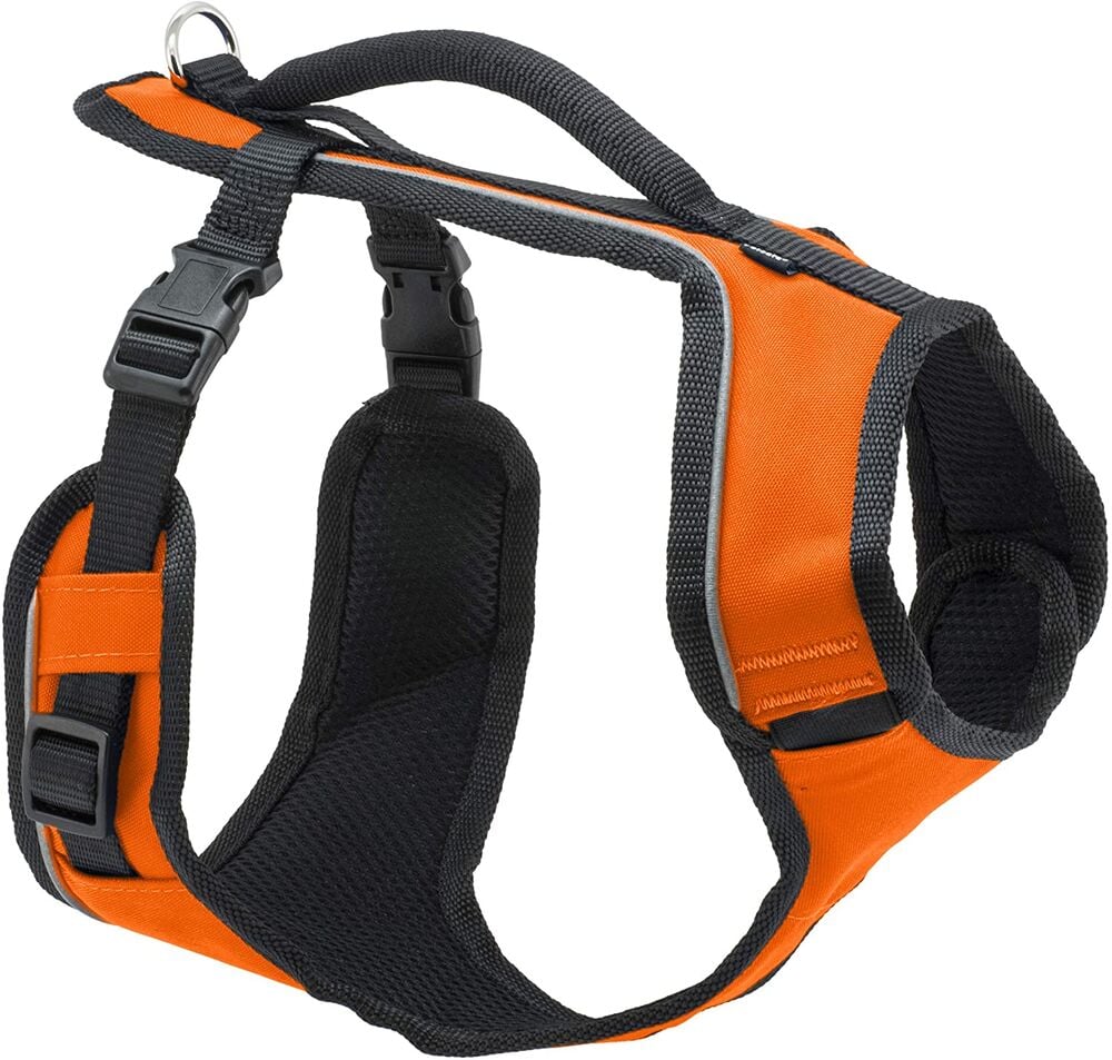 image of EasySport Harness - Orange, S