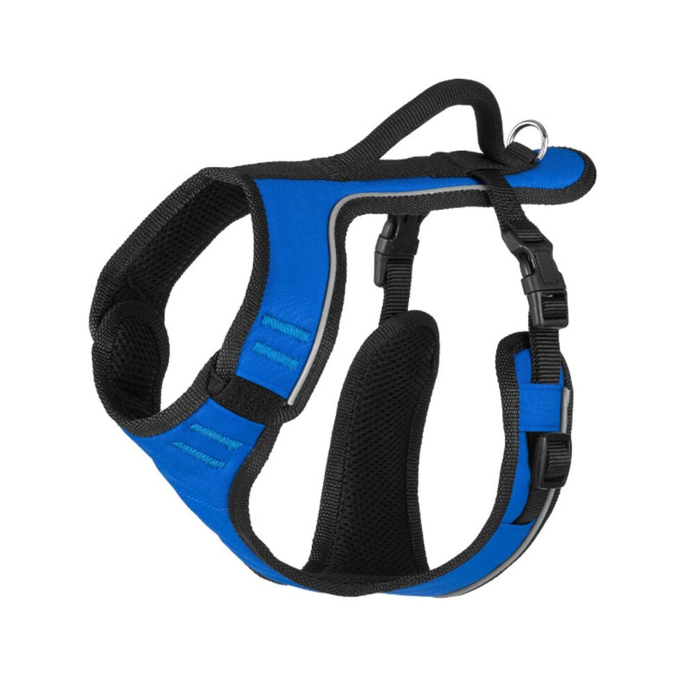 image of EasySport Harness - Blue, S