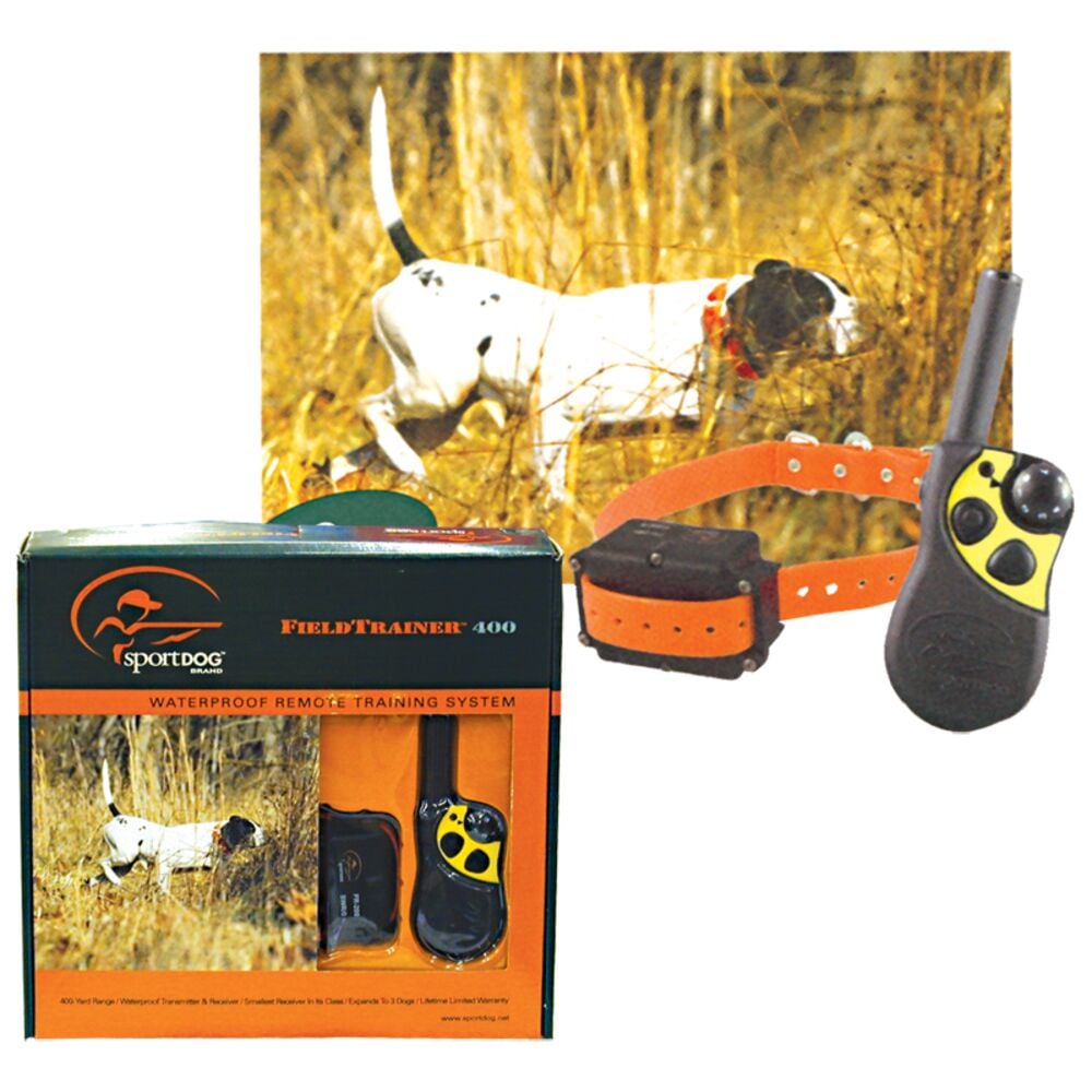 image of Field Trainer Standard Dog