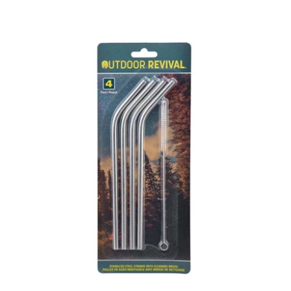 image of Stainless Steel Straws, 4 pk