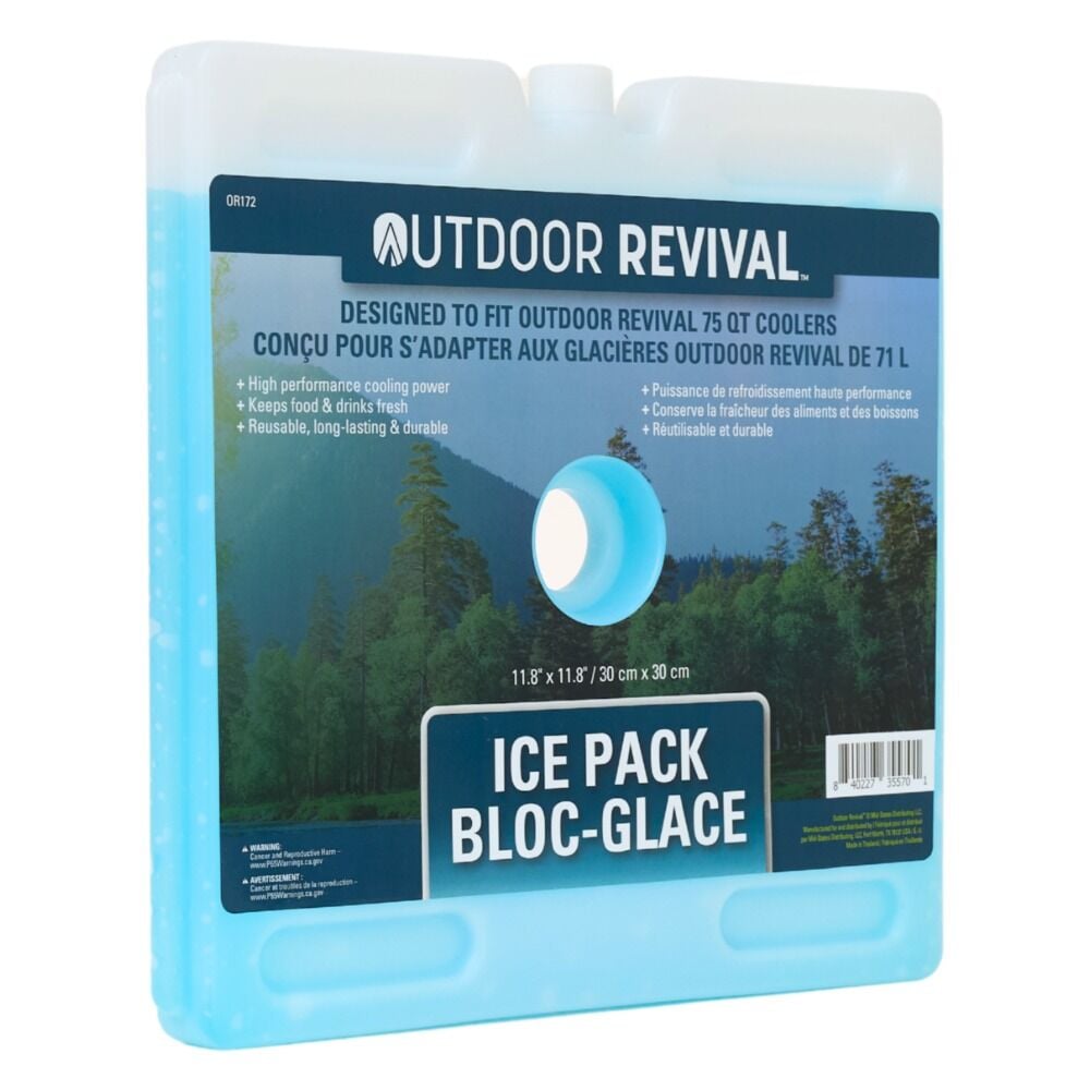 image of Ice Pack, Large