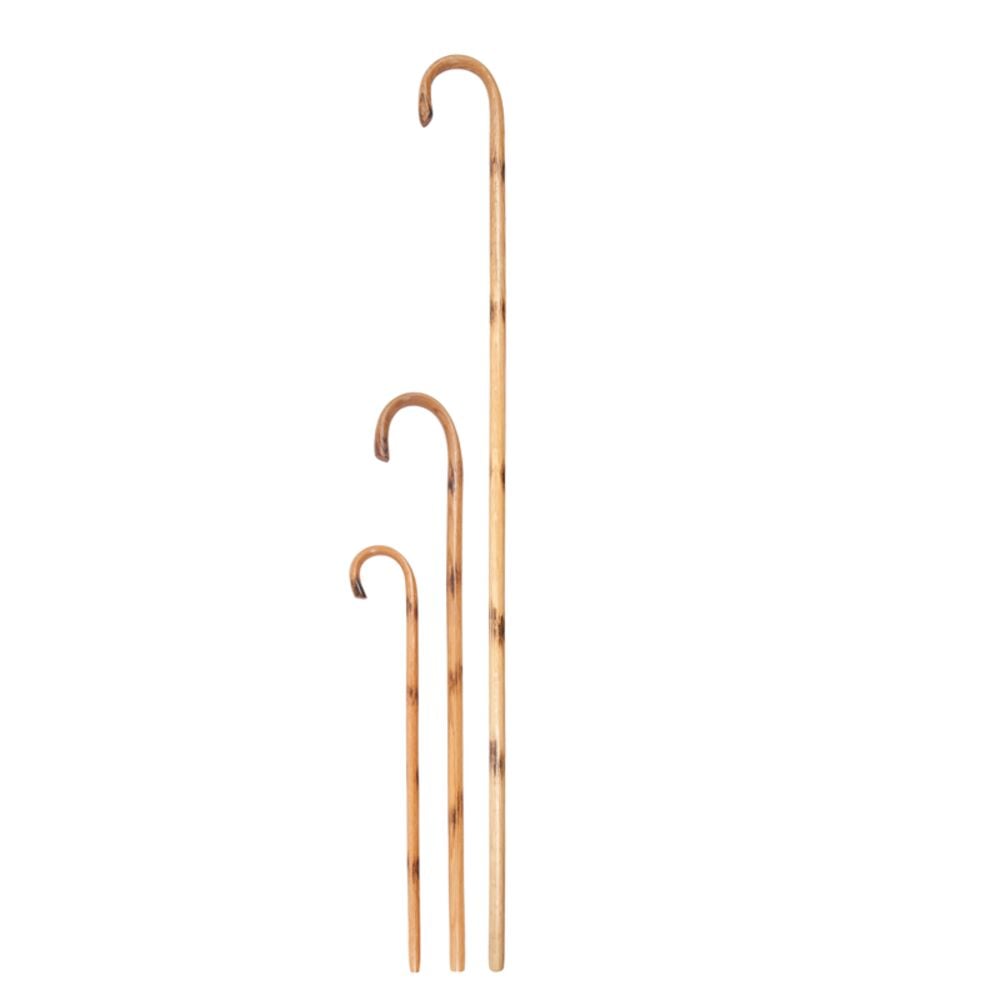 image of Cane, Wood Handle, 36 in