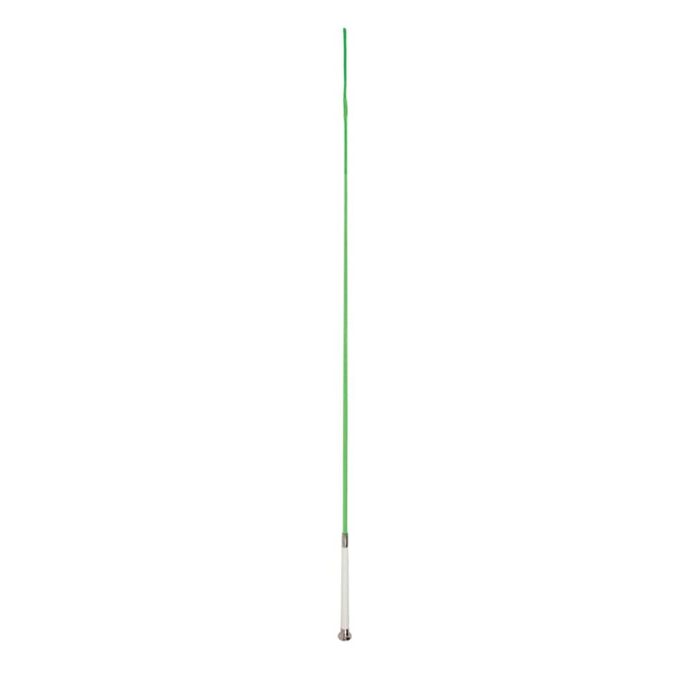 image of Whip, Drassage