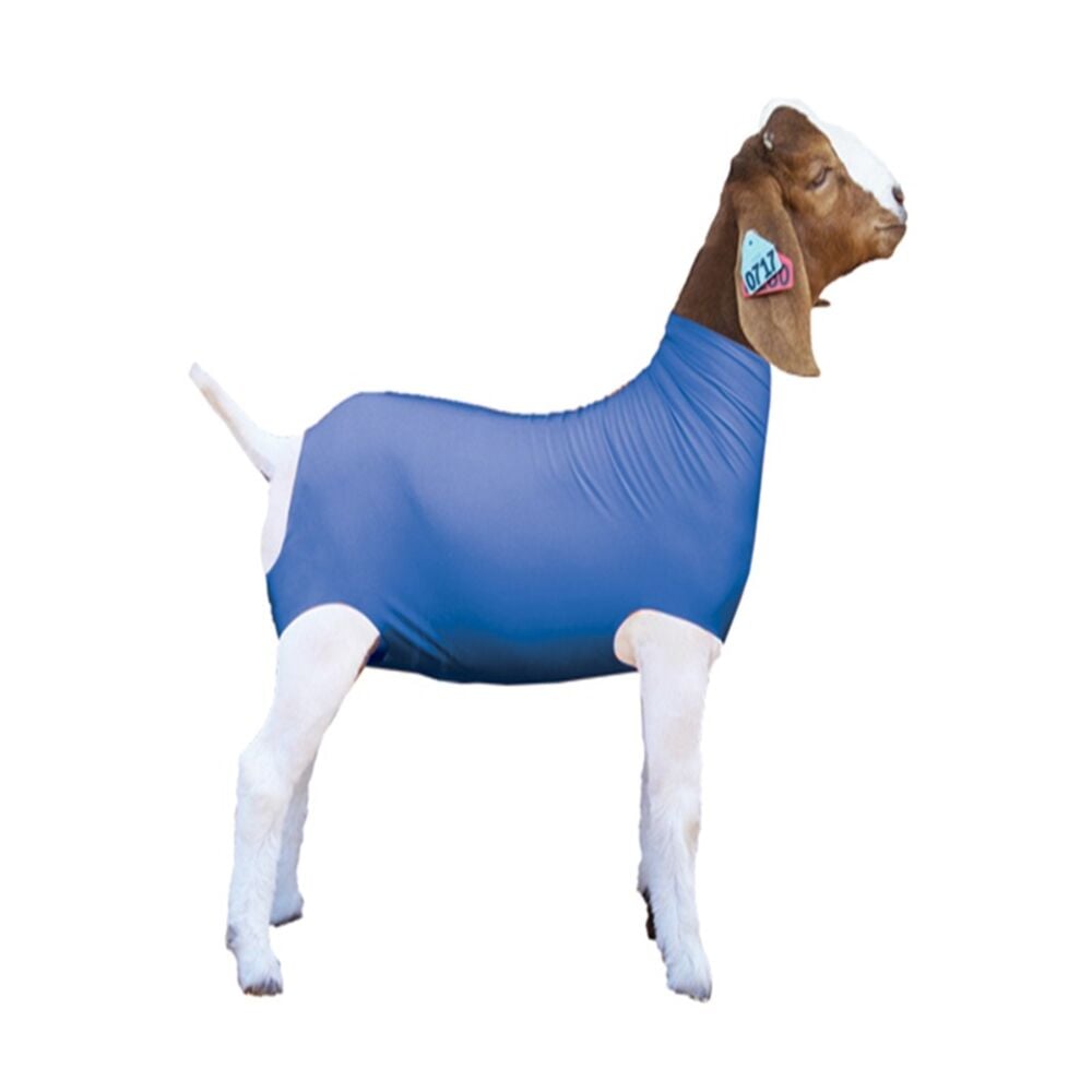 image of Goat Tube, Large, Blue