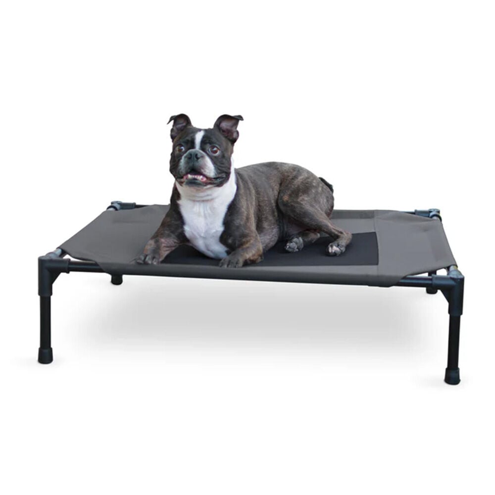 image of Pet Cot- 32 in x 50 in x 9 in