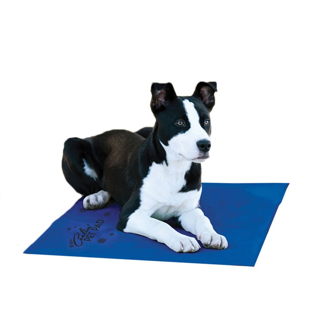 image of Pet Pad- Cooling, 27 in x 38 in