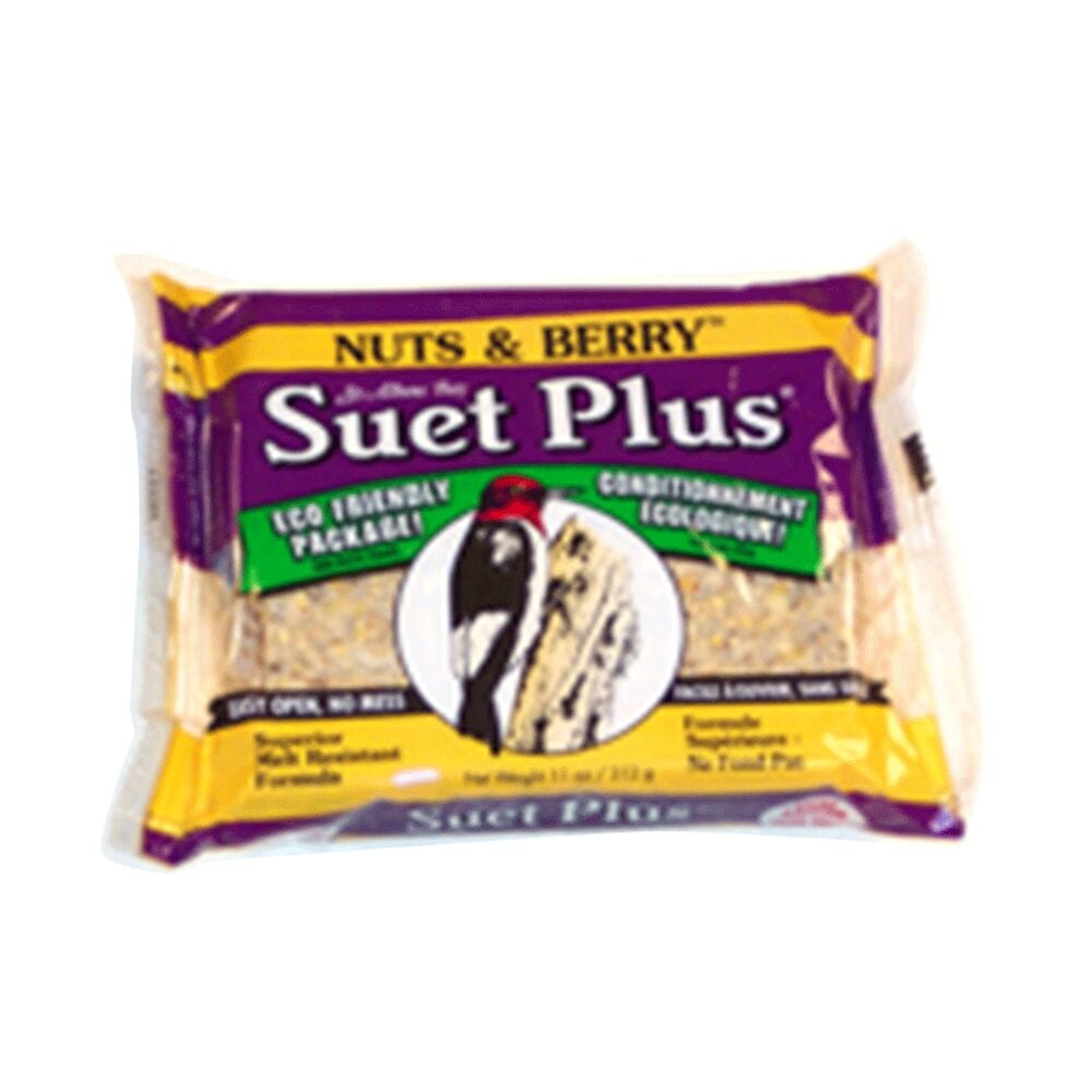 image of Nut and Berry Blend Plus Suet, 11 oz