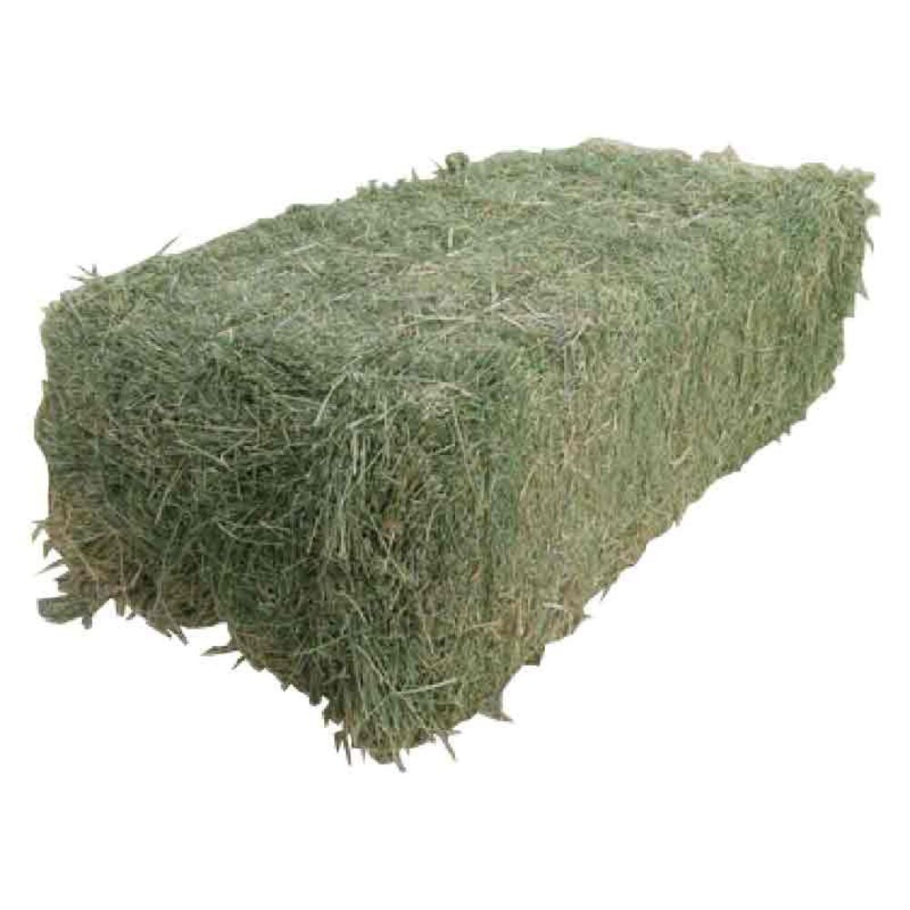 image of Square Grass Hay Bale