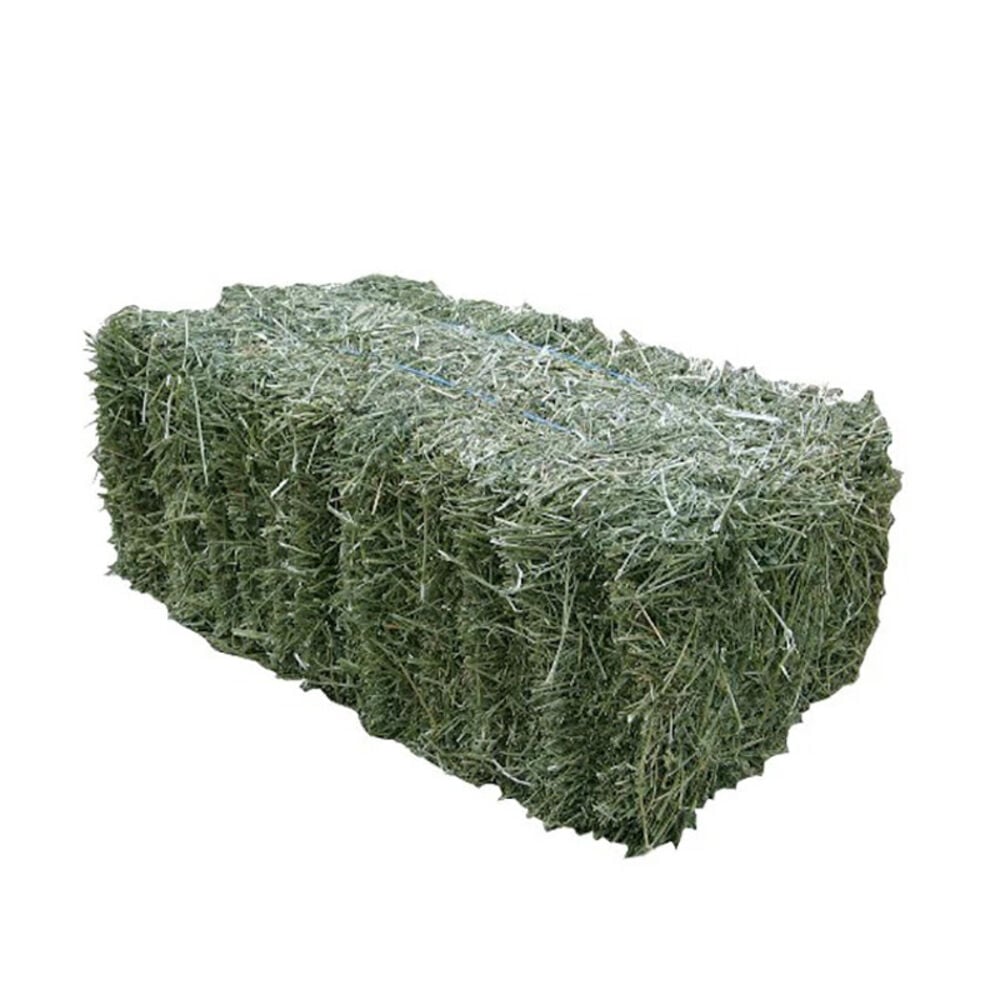 image of Bermuda Hay Bale, 50 lb