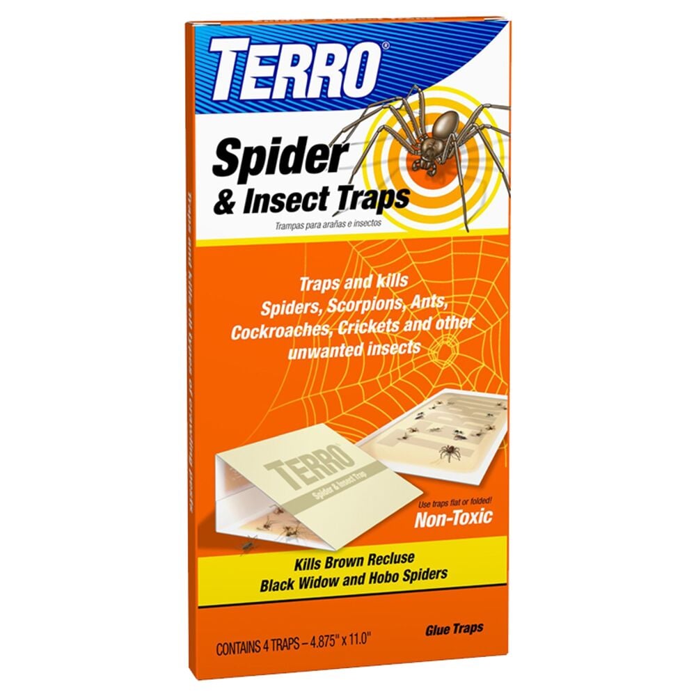 image of Spider and Insect Trap