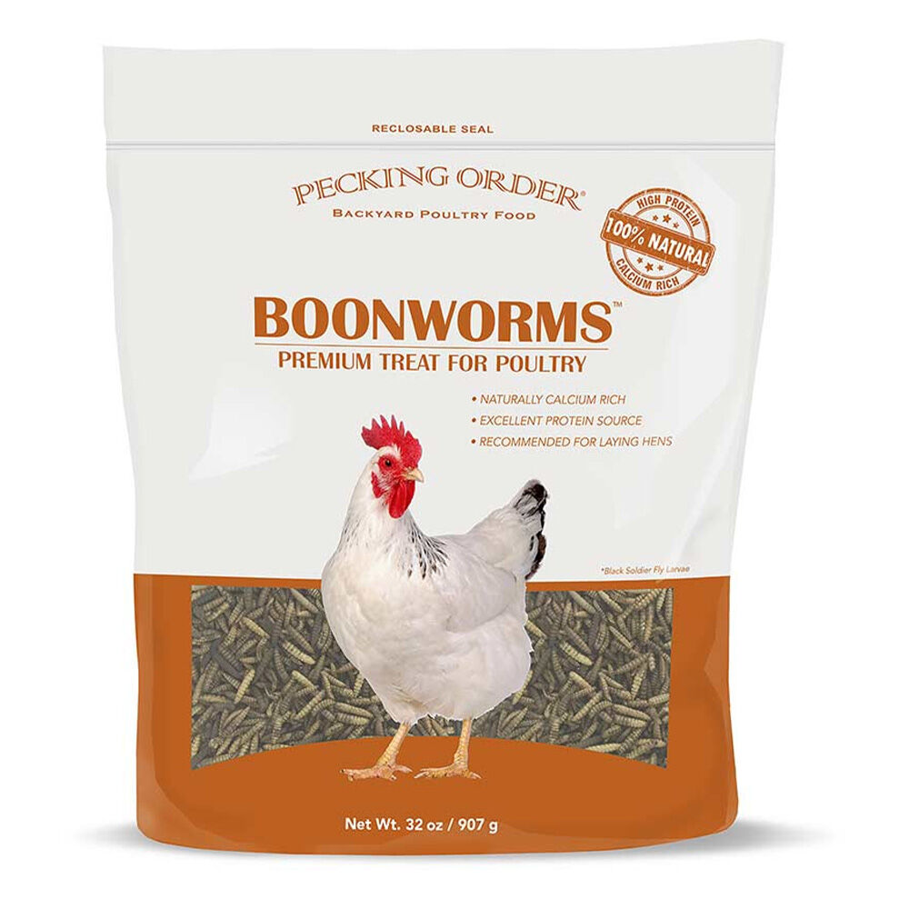 image of Poultry Treats- Dried Boonworms, 32 oz