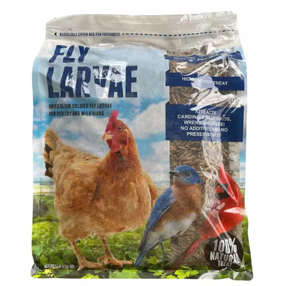 image of Boonworms, 5 lb. (Black Soldier Fly Larvae)- Brand May Vary