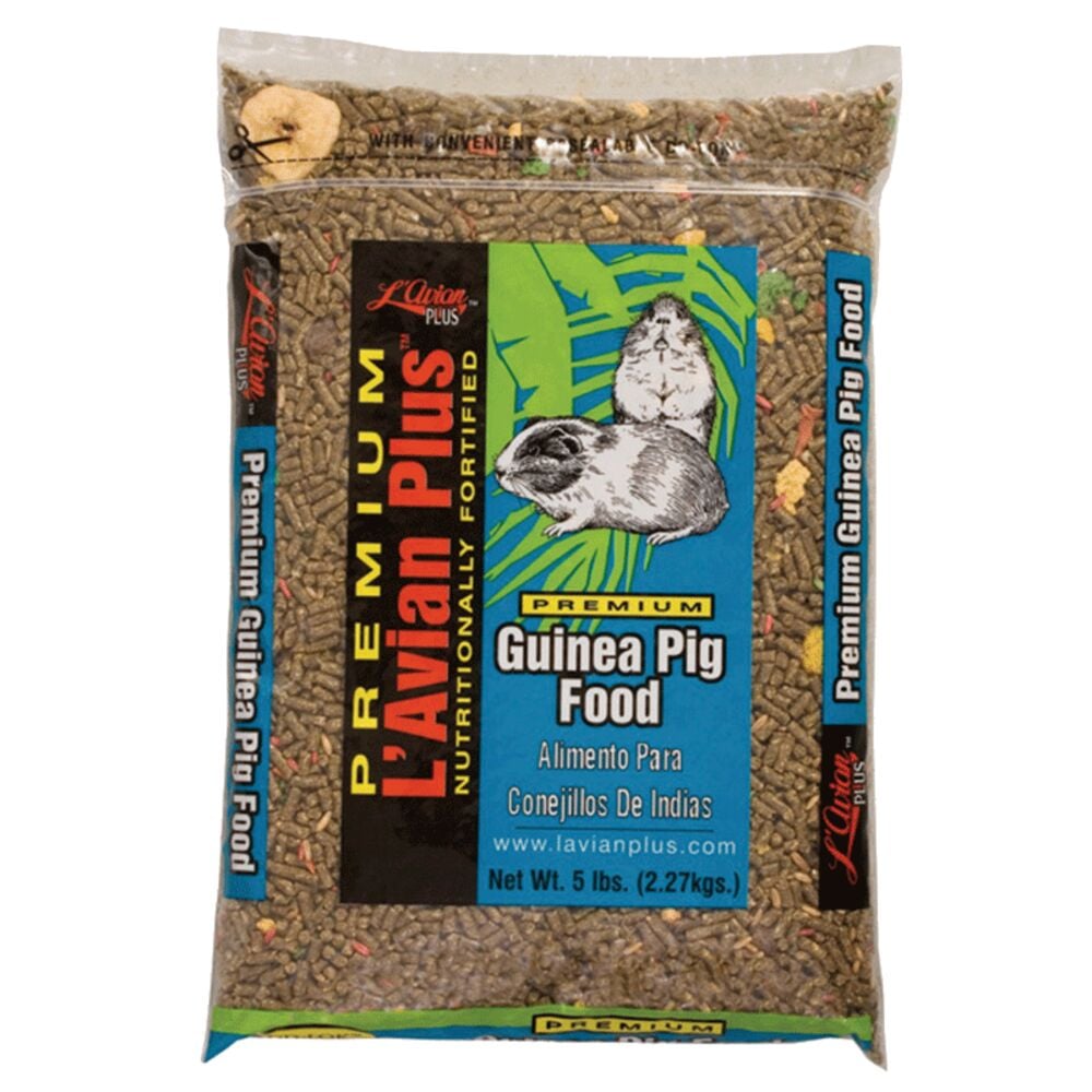 image of Guinea Pig Food, 5 lb
