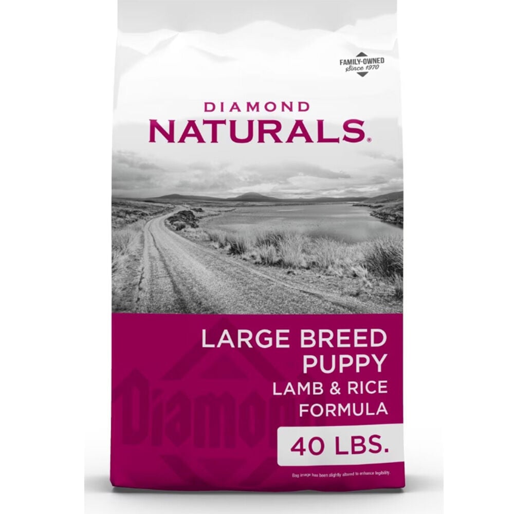 image of Large Breed Puppy, 40 lbs