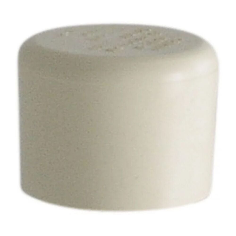 image of 3/4 Inch CPVC Cap Slip FCP CA-34