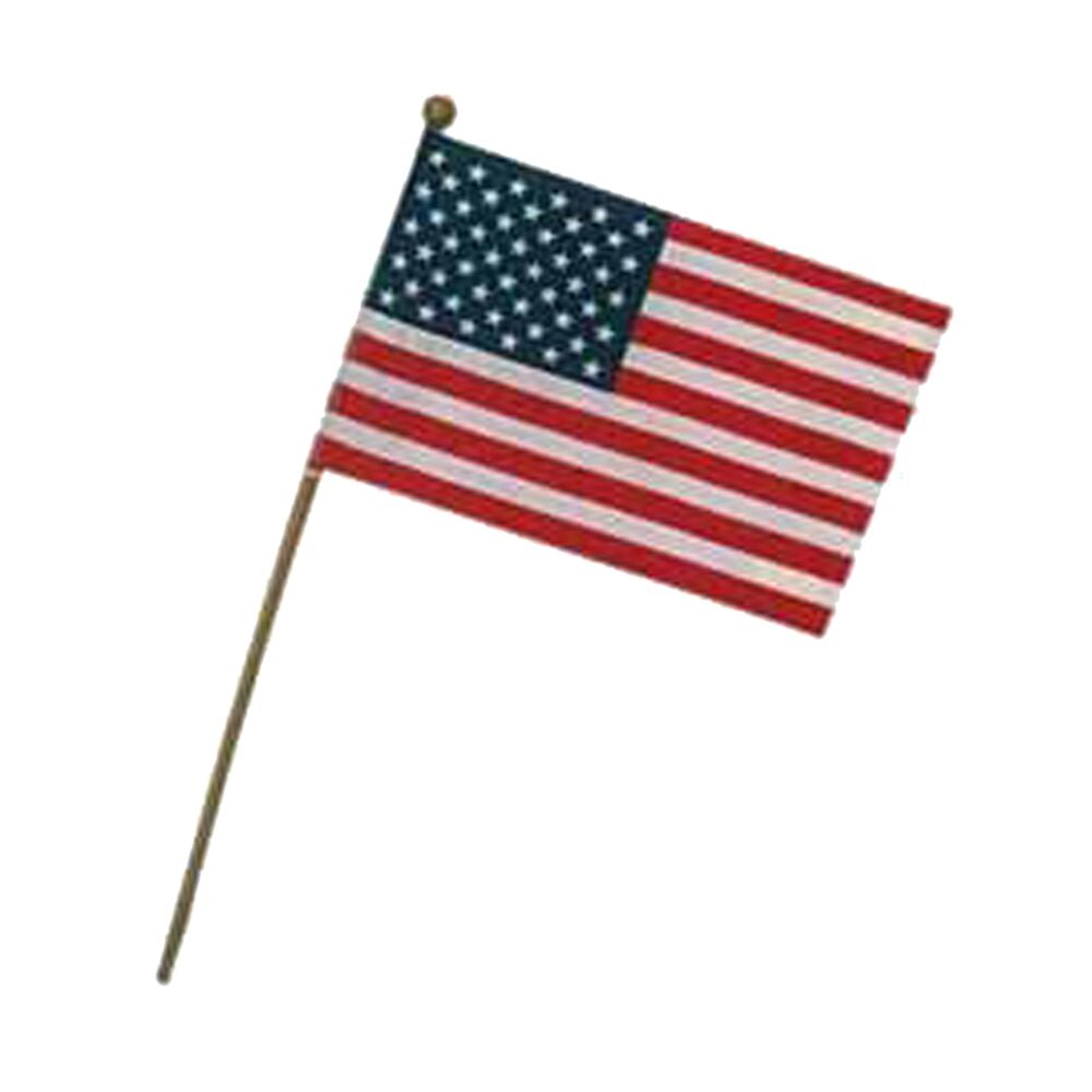 image of American Flag, Stick, 8 in x 12 in