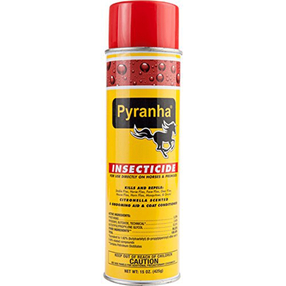 image of Insecticide Aerosol, 15 oz