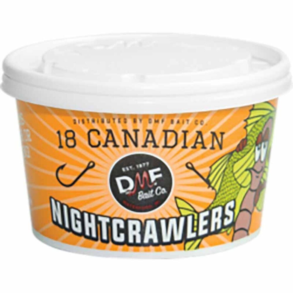 image of Canadian Nightcrawlers