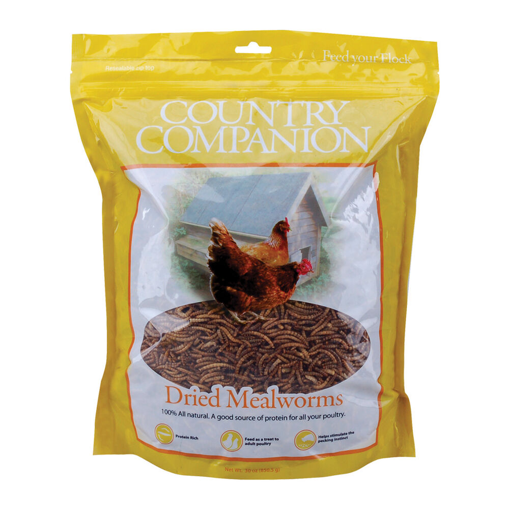 image of Mealworms, 30 oz