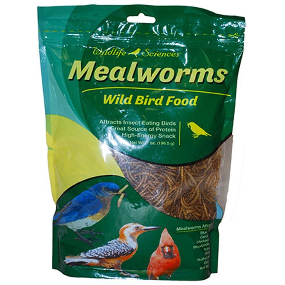 image of Mealworms for Wild Birds, 7 oz